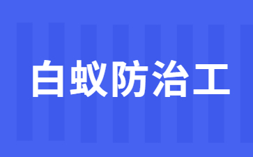 常州白蚁防治工证哪里考